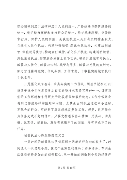 城管执法心得及感想多篇.docx