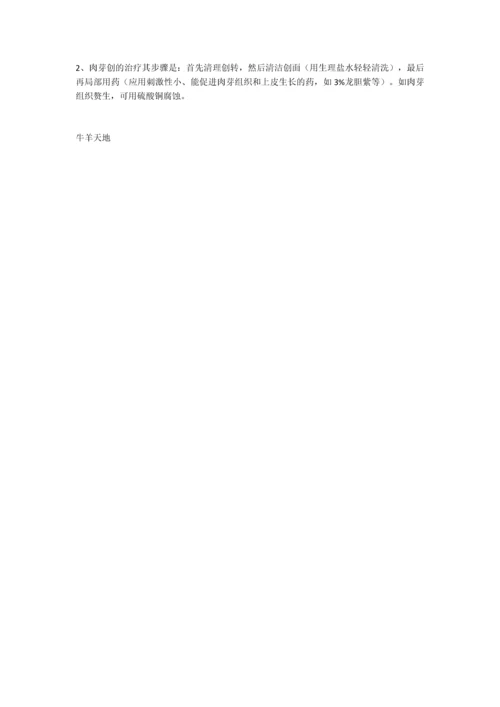 羊常见外伤、创伤的治疗方法.docx