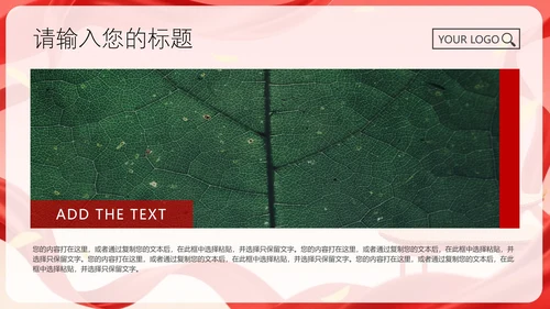 红色喜庆不忘初心牢记使命PPT模板