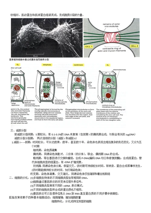 高中生物竞赛细胞的生活