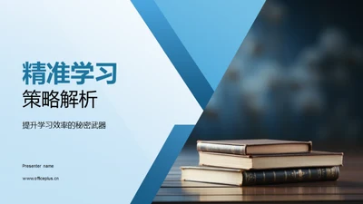 精准学习策略解析