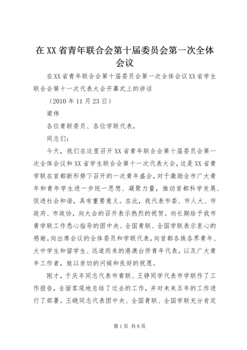 在XX省青年联合会第十届委员会第一次全体会议.docx