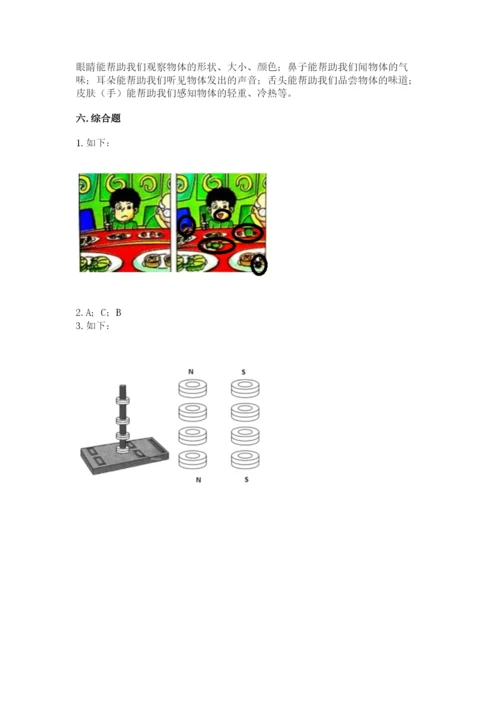 教科版小学科学二年级下册期末测试卷附参考答案【典型题】.docx