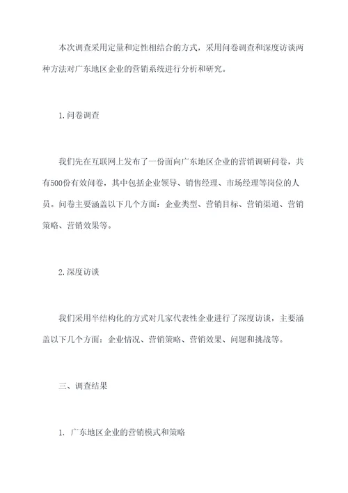 广东营销系统调研报告