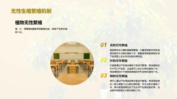 商务风教育培训教学课件PPT模板