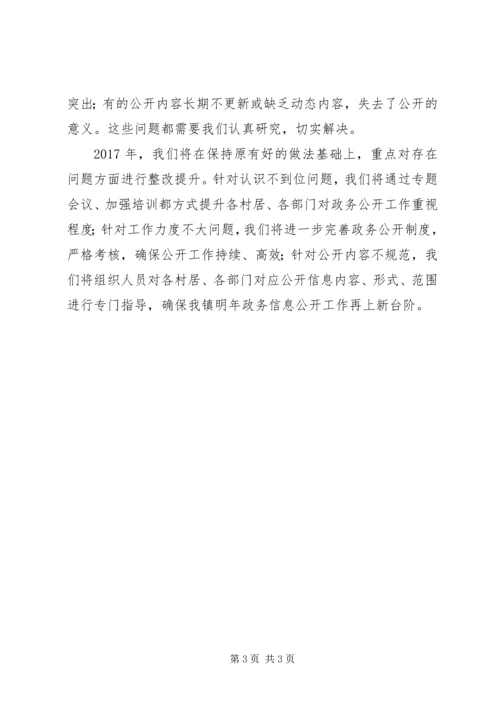 乡镇政务信息公开工作总结.docx