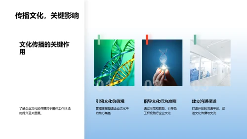 企业文化与绩效提升