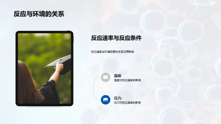 探索化学反应秘境