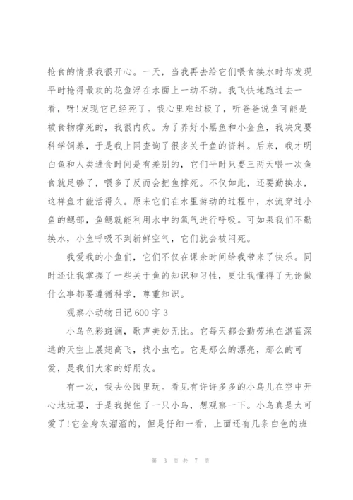 观察小动物日记600字5篇.docx