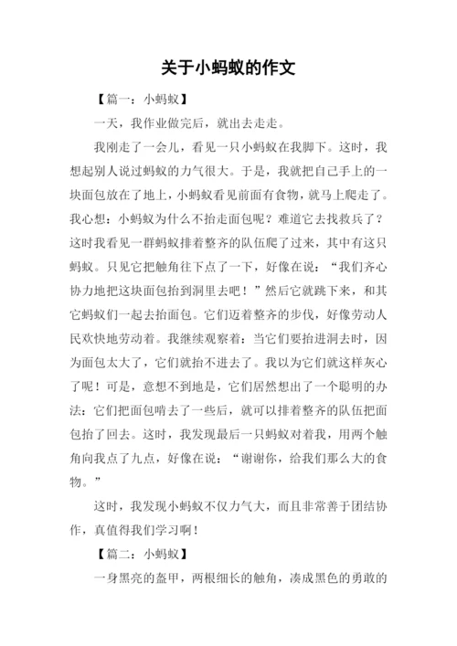 关于小蚂蚁的作文.docx