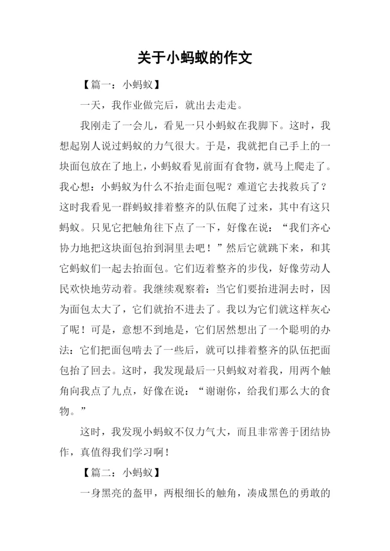 关于小蚂蚁的作文.docx