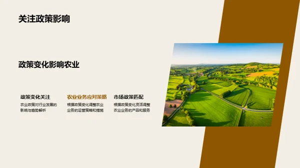 农业盛季财务透析