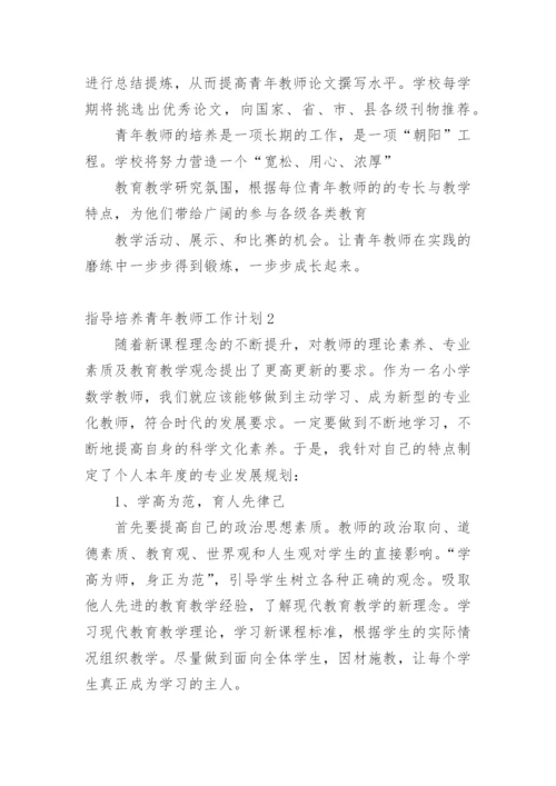 指导培养青年教师工作计划.docx