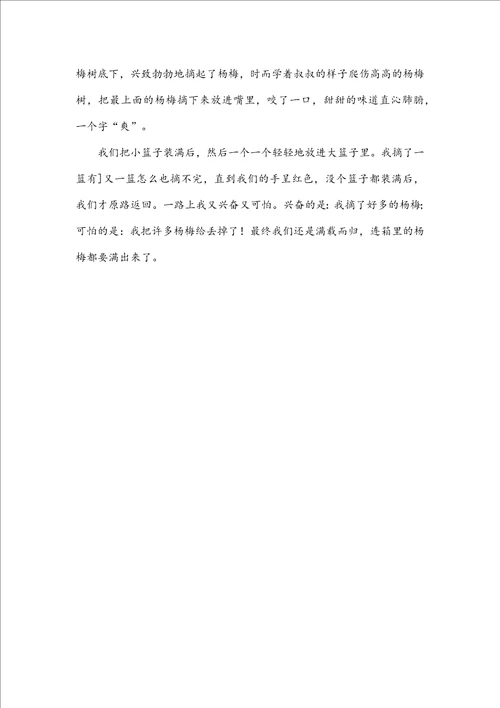 摘杨梅作文300字三年级