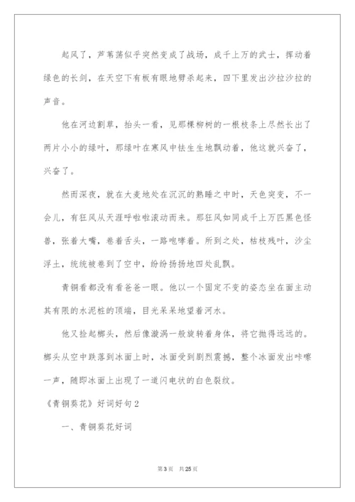 2022《青铜葵花》好词好句.docx