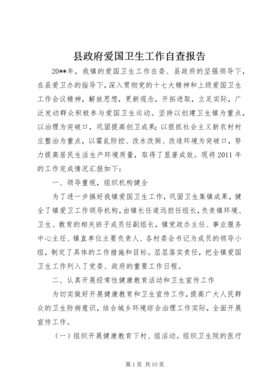 县政府爱国卫生工作自查报告 (2).docx