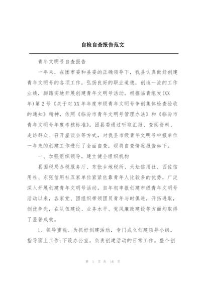 自检自查报告范文.docx