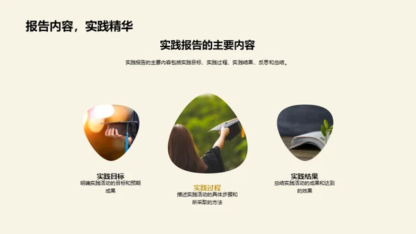实践报告精要