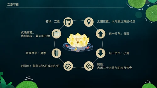 立夏荷叶绿色清新夏天通用PPT模板