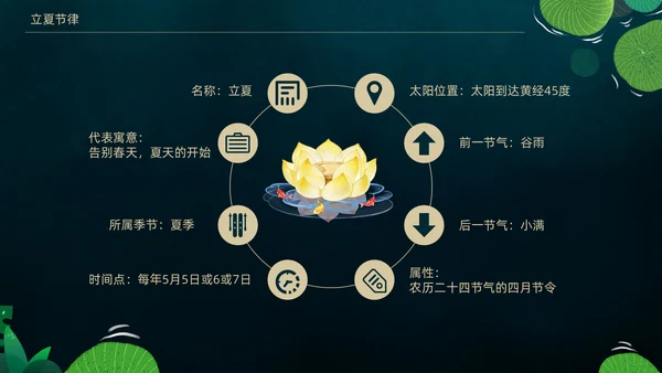 立夏荷叶绿色清新夏天通用PPT模板