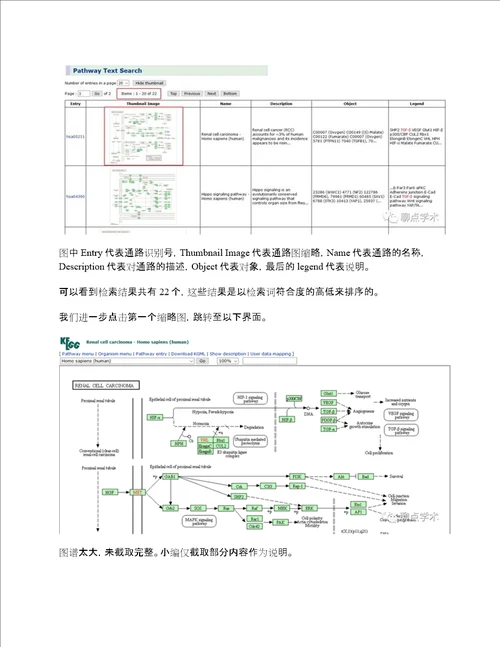 KEGGpathway介绍及其使用方法。