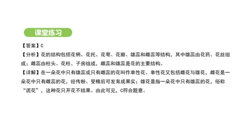 第三单元-第一章-第三节-开花和结果课件-2024-2025学年七年级生物下学期人教版(2024)(