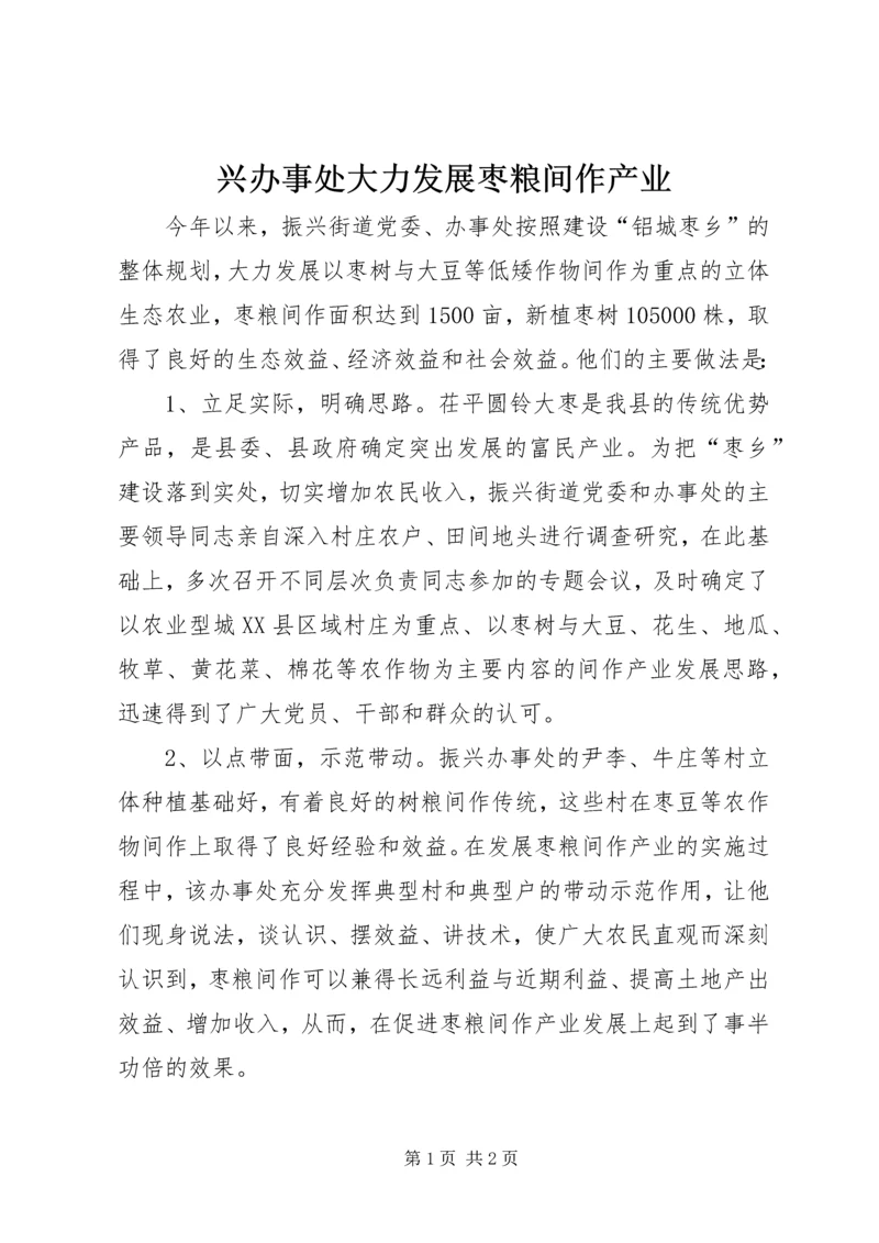 兴办事处大力发展枣粮间作产业.docx