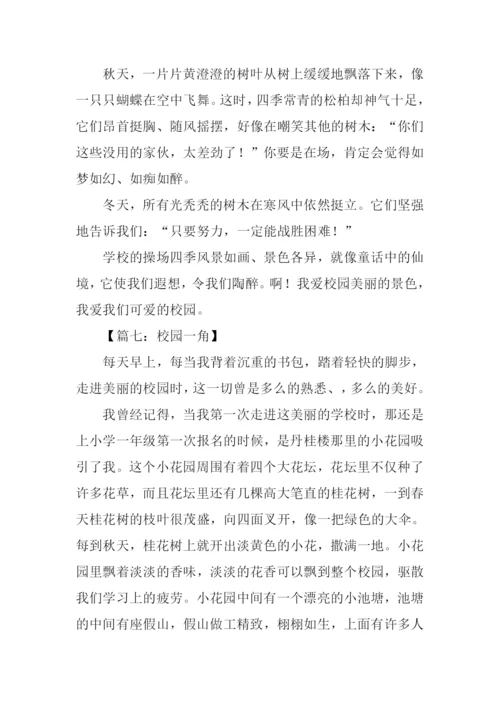 校园一角作文300字大全.docx