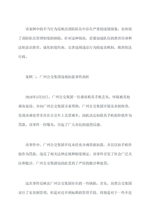 违规追责典型案例剖析材料