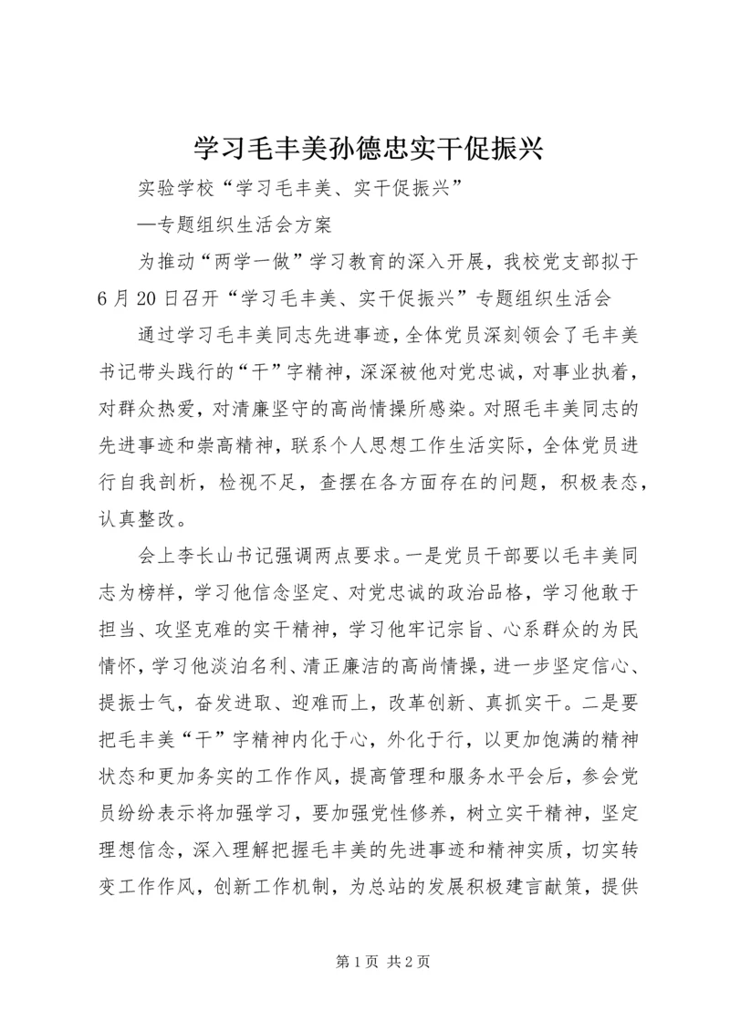 学习毛丰美孙德忠实干促振兴 (4).docx