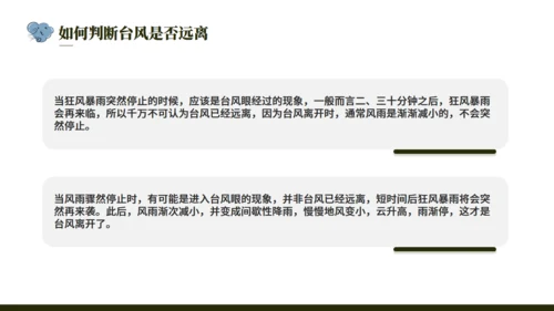 台风来袭，防台风安全教育培训通用PPT模版