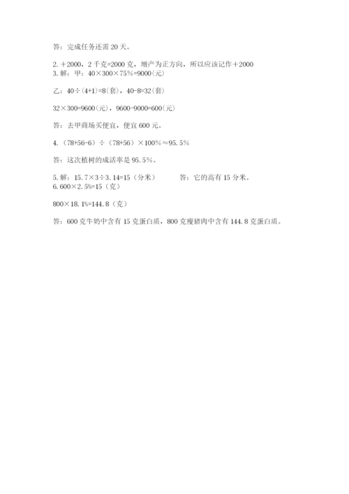 苏教版数学小升初模拟试卷（夺冠）.docx