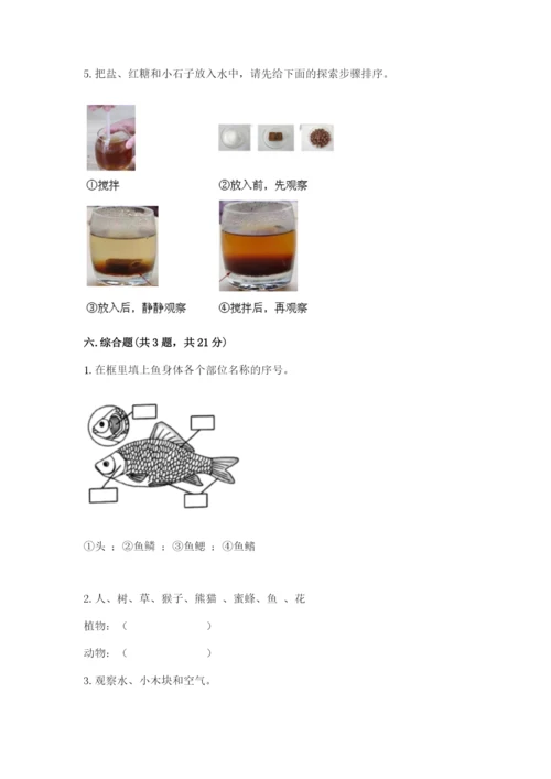 教科版一年级下册科学期末测试卷及参考答案ab卷.docx