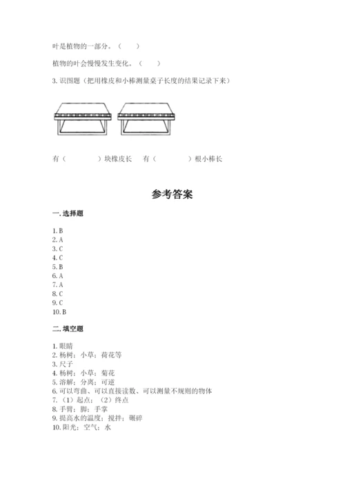 教科版一年级上册科学期末测试卷附精品答案.docx