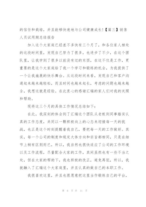 销售人员试用期总结报告.docx