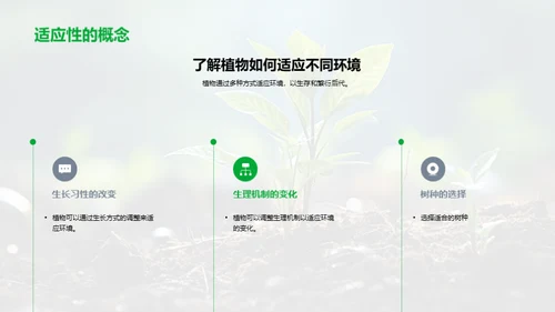 探索植物的奥秘