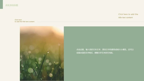 高级极简风世界无烟日主题PPT模板