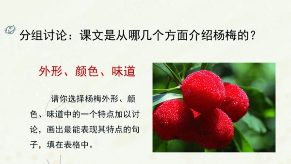 统编版三上第五单元 习作例文：我爱故乡的杨梅   课件