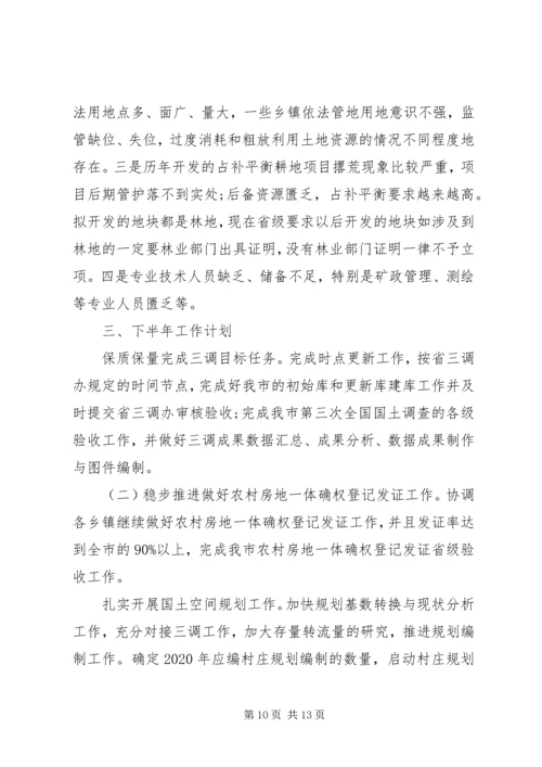 市自然资源局XX年上半年工作总结和下半年工作计划.docx