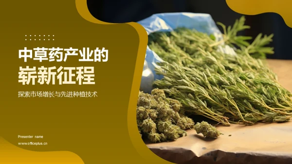 中草药产业的崭新征程