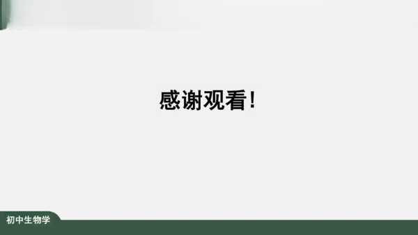 2.2.2 动物体的结构层次 课件（共24张PPT）
