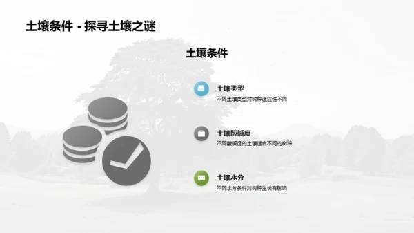 森林创新与绿色未来