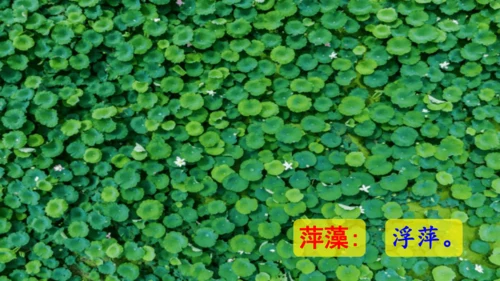第26课 《好的故事》   课件