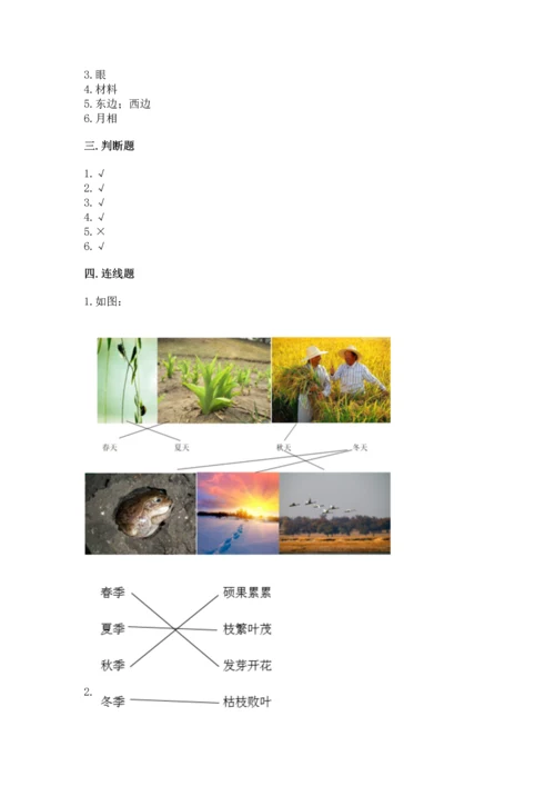 教科版二年级上册科学期末测试卷精品（模拟题）.docx