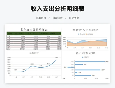 收入支出分析明细表