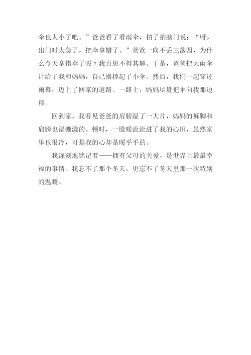 冬天的温暖作文700字.docx