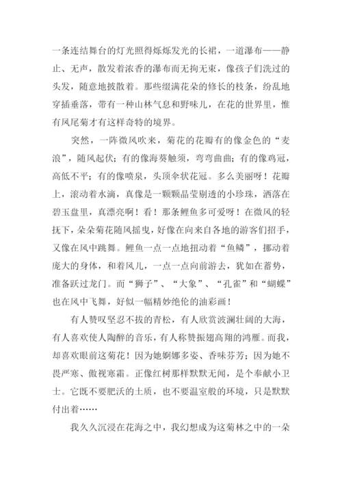 赏菊作文1000字0.docx