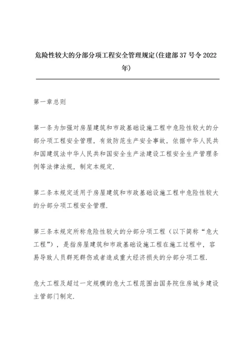 危险性较大的分部分项工程安全管理规定(住建部37号令2022年).docx