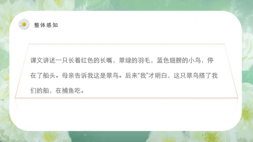 第15课《搭船的鸟》课件