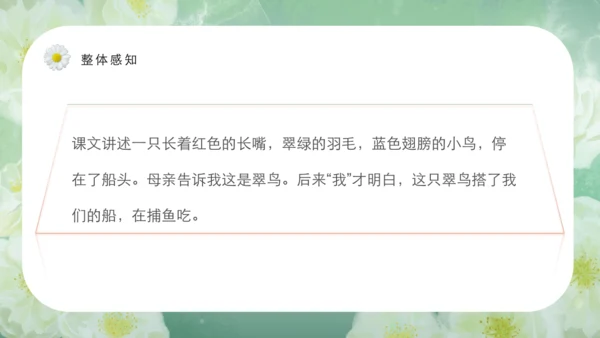 第15课《搭船的鸟》课件